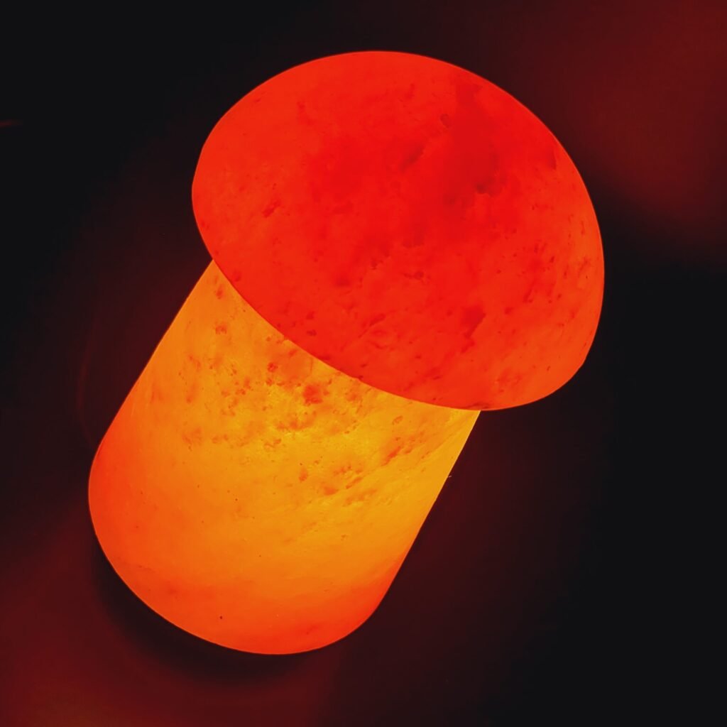 Himalayan Mushroom Salt Lamp