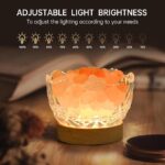 Himalayan Salt Lamp – 10 Levels of Light Intensity USB Plug